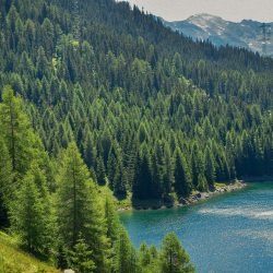 10 Facts About Lake of the Woods