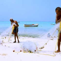 Environmental Challenges and Resilience in Lakshadweep