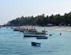 Call for Integrated Fisheries Hub in Lakshadweep to Boost Blue Economy